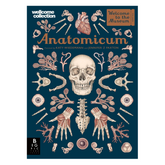 Anatomicum